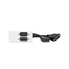 Vivolink Outlet Panel Displayport HDMI | WI221267 | Premium Connectivity Solution